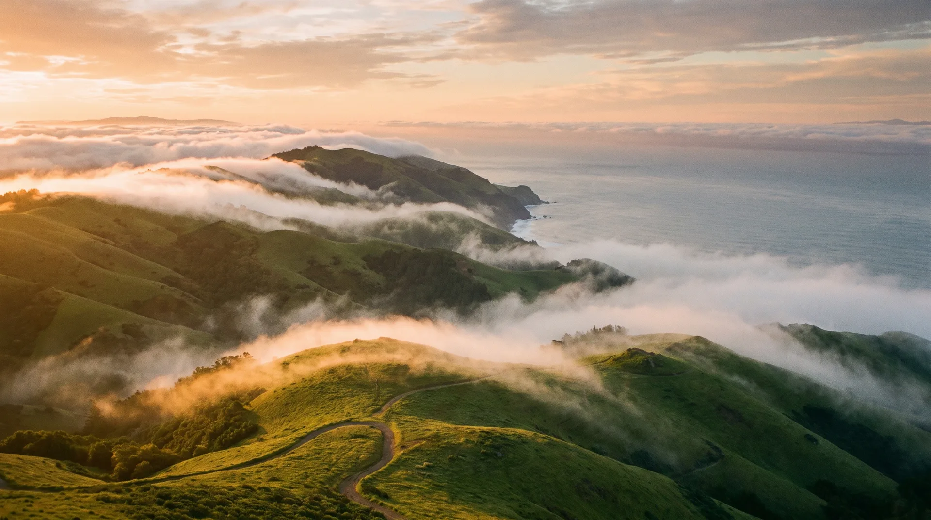 Mount Tamalpais and the Marin headlands in fog